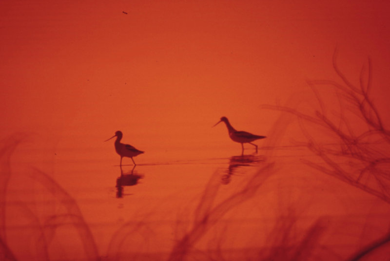 L’arte della connessione